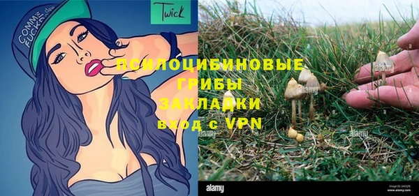 Альфа ПВП Арсеньев